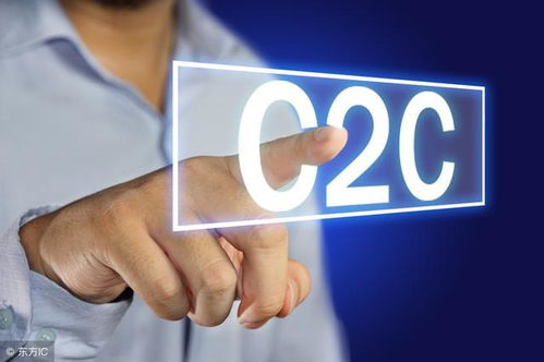 C2C电子商务网站也提供商品信息的分类浏览和关键词检索功能